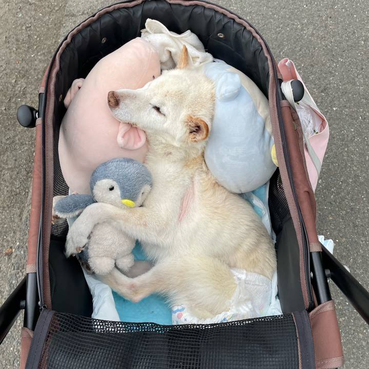 D61e7614 5ed9 4e85 a97f ee9c9bb1fbe1 1684752443761