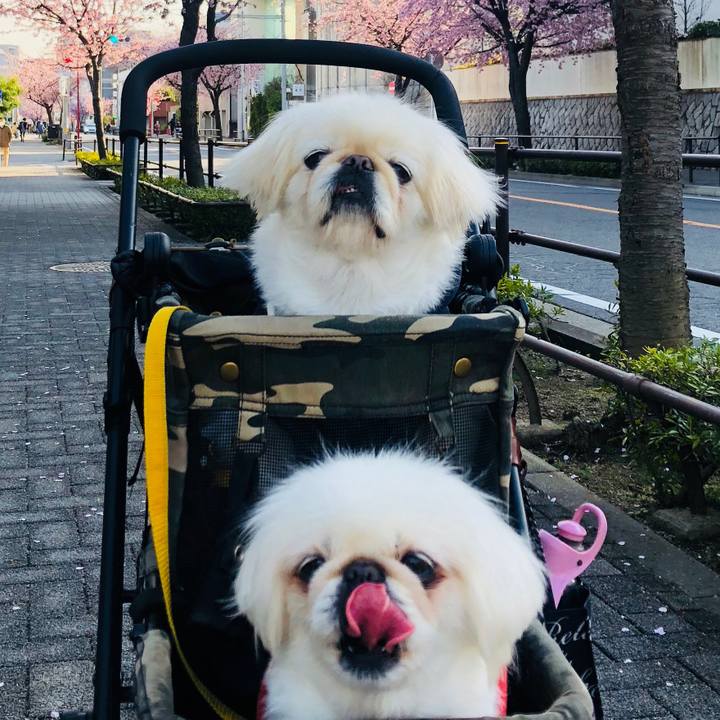 D61e7873 7db1 4055 98ef c01352bae9c9 1615192604671