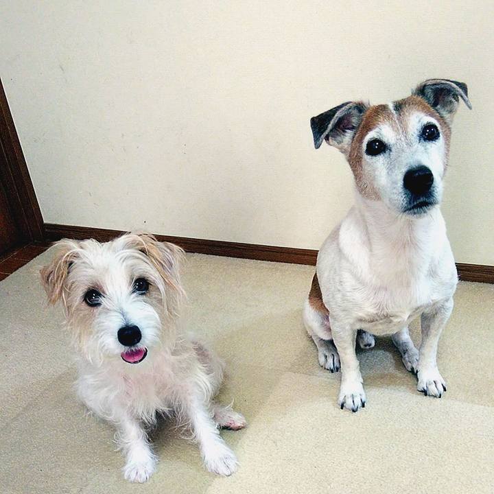 D61e7bb8 1278 482b a75e 5be70d7b5b16 1567929325962