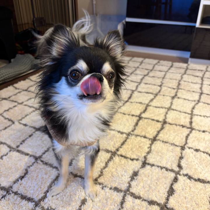 D61e90ef e50b 4e7d 916e 19a6f4045206 1735576698044