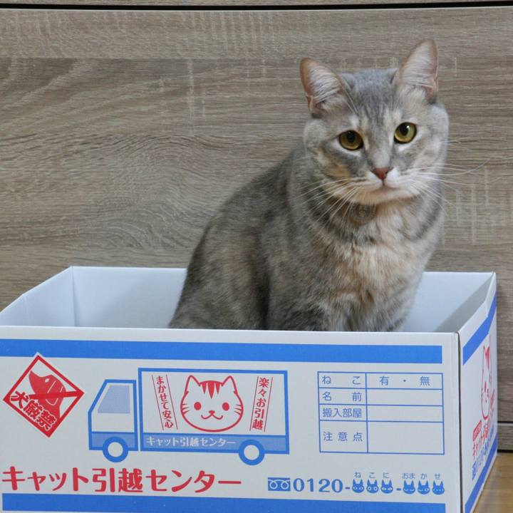 D61e9bce 918a 4af0 98f7 ba61f6f02646 1516677120393