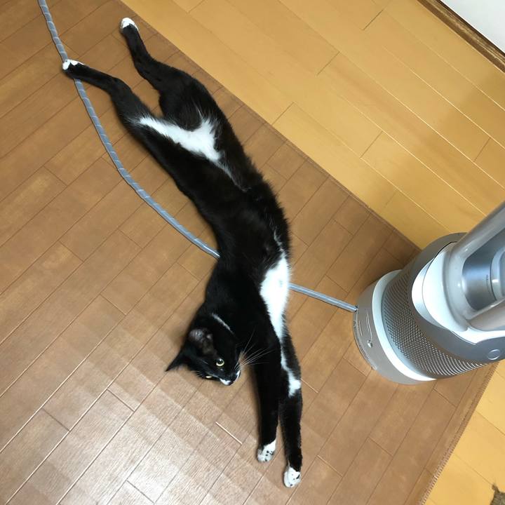 D61eb30f 418e 4c8d 8dd9 440ffa54e5ab 1599371280087