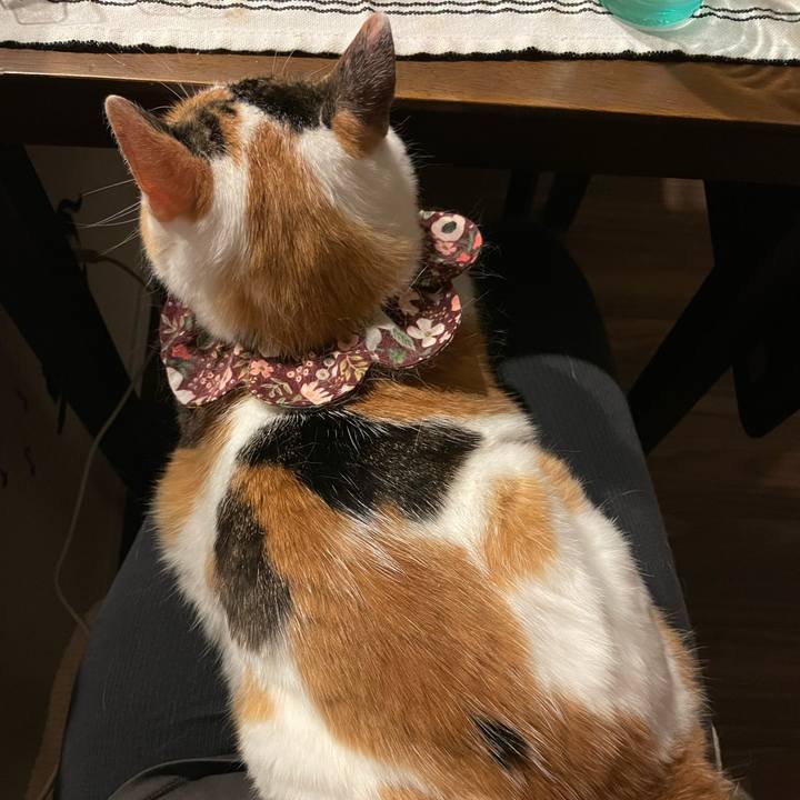 D61eb97b 53f1 4450 ba43 78f7bc9b1c2d 1753282398730