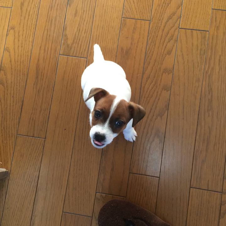 D61efca7 55a8 4c85 85f0 e096d6abd1fb 1509664545996