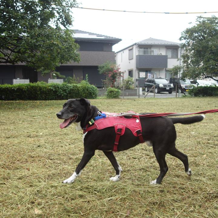 D61f09fb 6aee 437d b470 b8bbdf5739cd 1695342814146