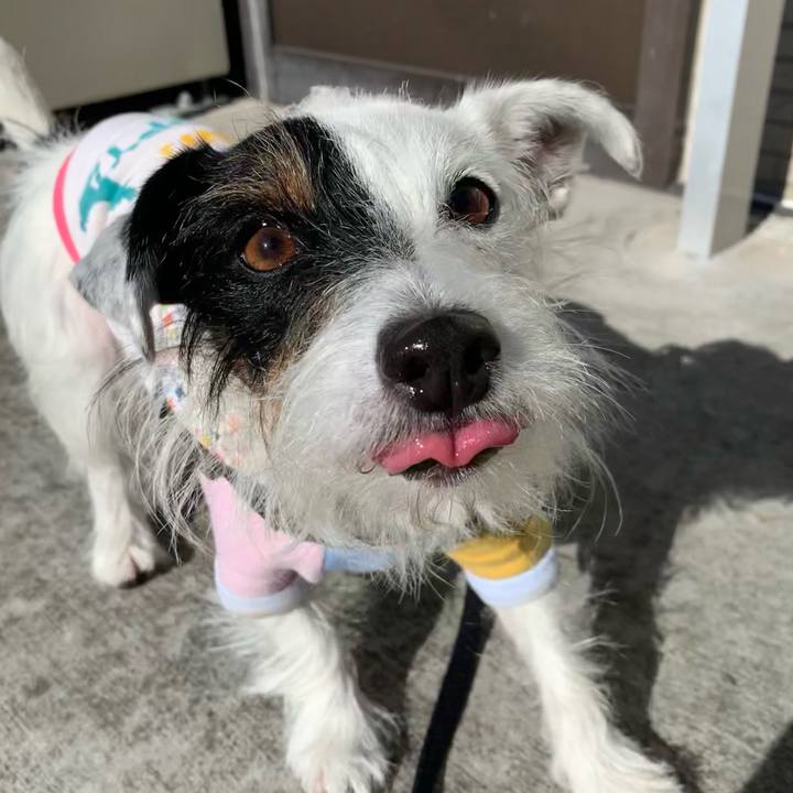 D61f77d9 c2c2 4817 96c0 0a3eef1b44d1 1604973880105