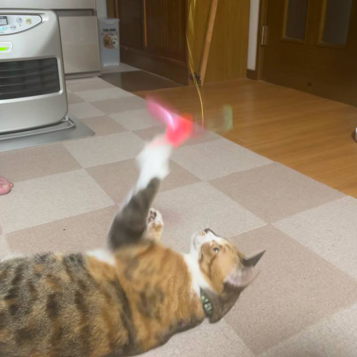 D61f7e9c c9f9 4d52 8d8c bd883333b55d 1733956205272