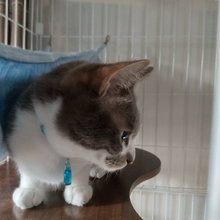 D61fa5de d7a1 4df9 8684 13aa6c826cea 1620079397857