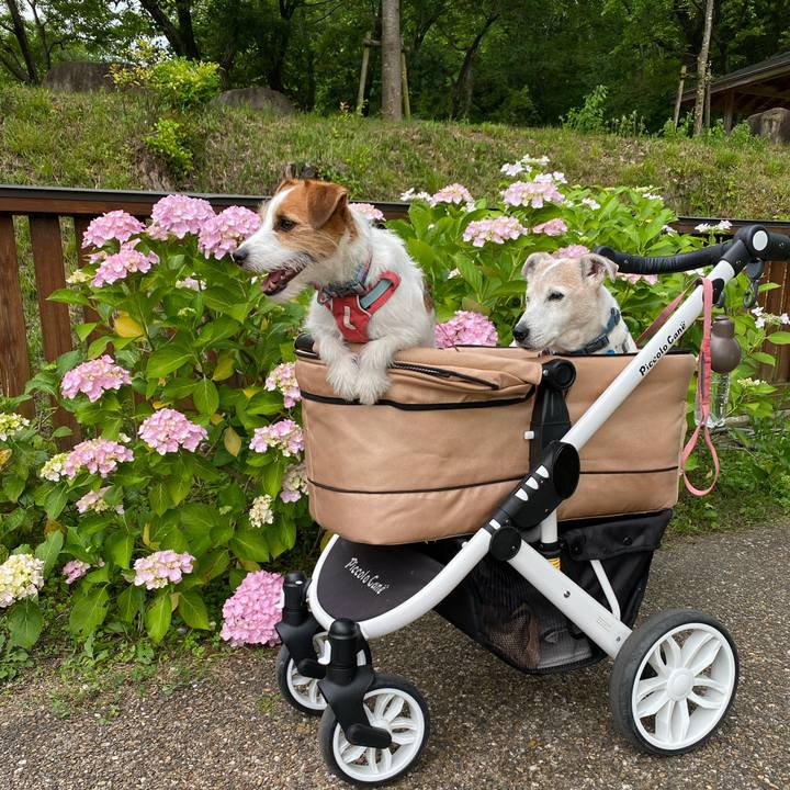 D61fbf51 c347 4867 84f3 7f7d44f9bce2 1717679781342