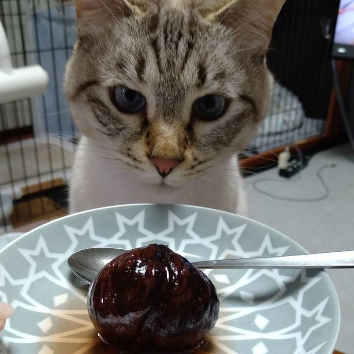 D6201201 fc03 4205 b722 1bfd2960b314 1636972377226