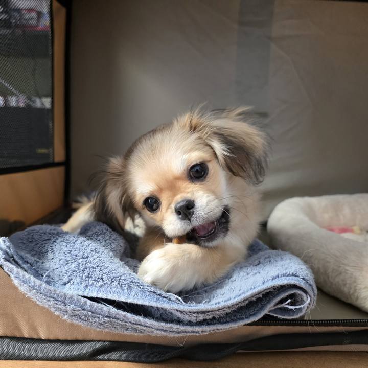 D62013f9 a760 4f22 b162 4b18bf455565 1774842564650