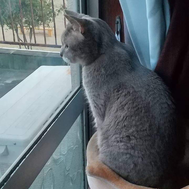 D620270c 9be7 4897 8393 970b0e399f70 1678961429864