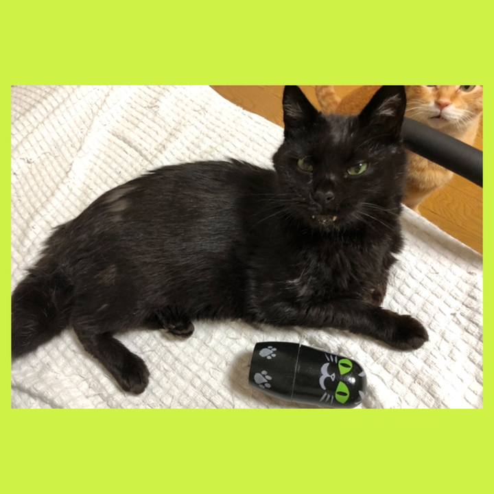 D6202d6b b157 4421 b90d c30ccedf54ac 1629285612819