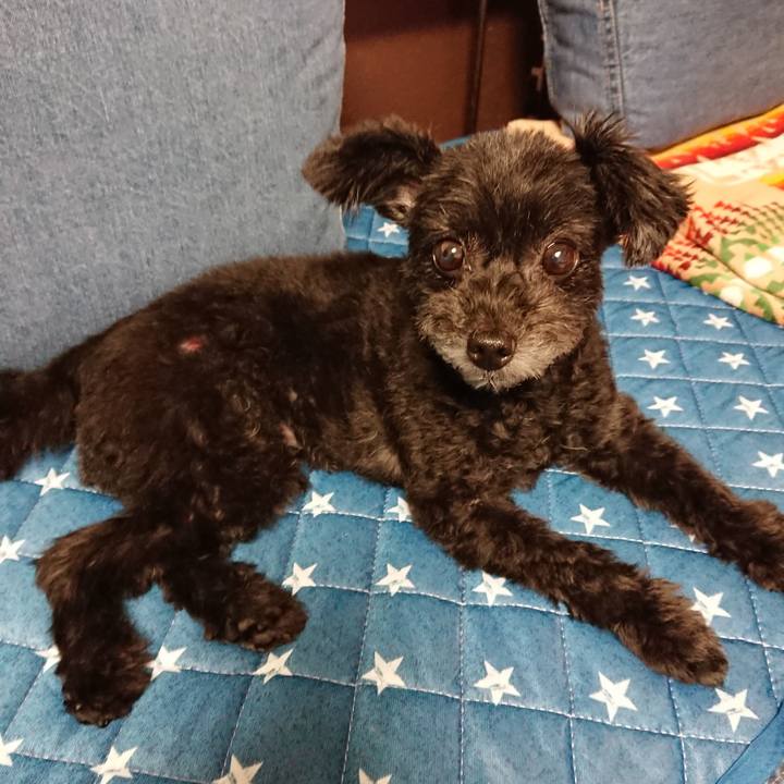 D62054c4 6ace 45bf 91a5 5b171f118f2d 1567687147010