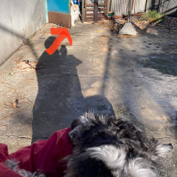 D620831d ba39 43e5 8d3b d20f49f77bdb 1640077412972