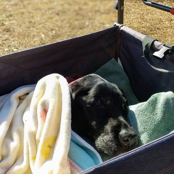 D6208e9b fed1 4f7d 9116 0b5eafd97ca4 1734762473015