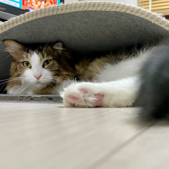 D620aa7e b627 40da 938d a377f3346fb1 1675626943283