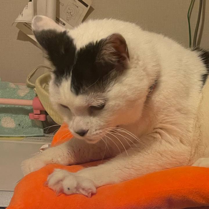 D620aecd 4e69 4e32 98c4 362151b5b670 1708166166820