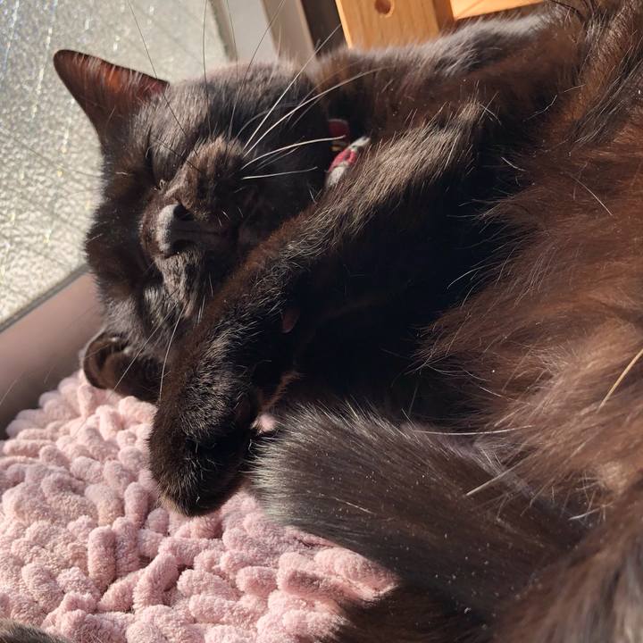 D620c114 5372 47f6 b64f b8d028e35e37 1588405736119