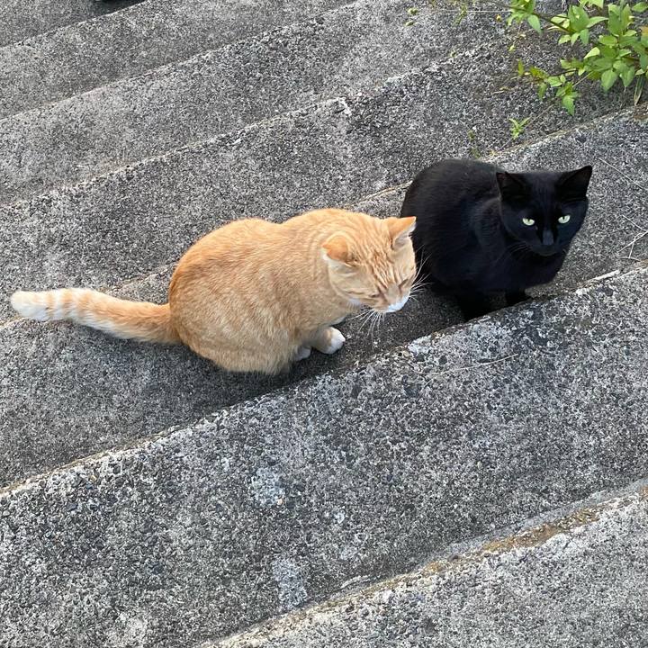 D620e0d6 10ca 4bb1 ba09 54e248954981 1700648097804