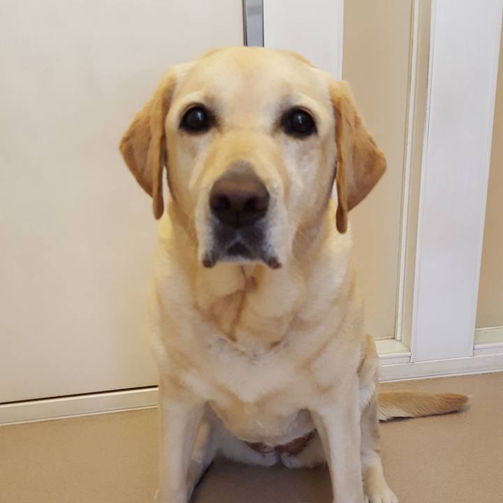 D620e61c 1856 40d3 a091 0d44a1e69ff8 1591766868517