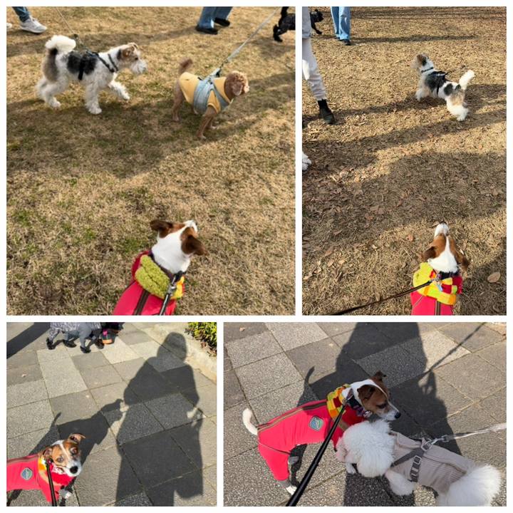 D62133f1 54a3 4fe5 b93a 9ebe85878eb4 1770026238558