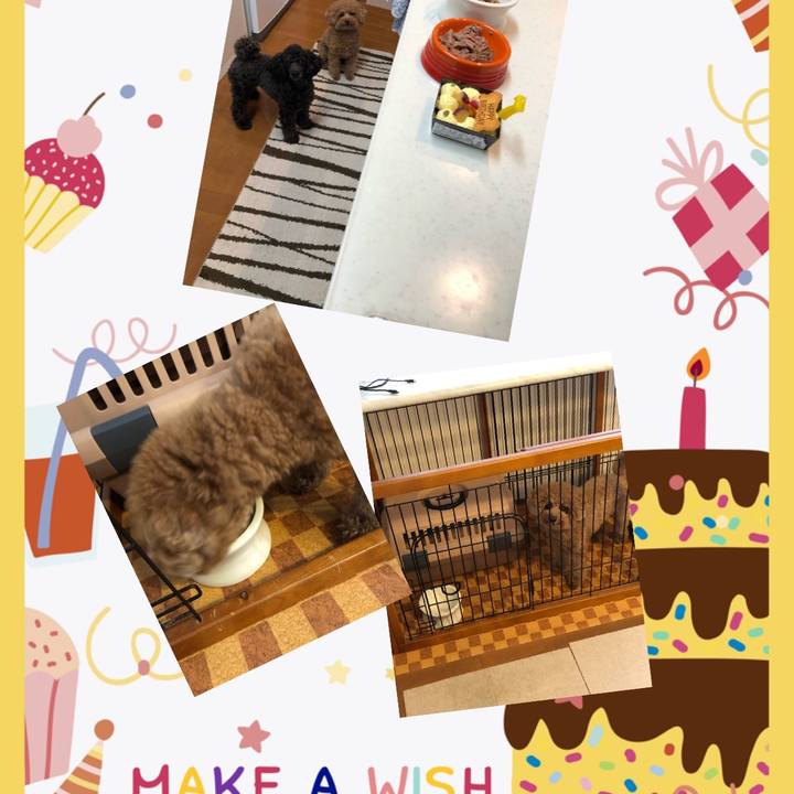 D6216740 a78a 419c 8ada 545770010fd2 1586952344735