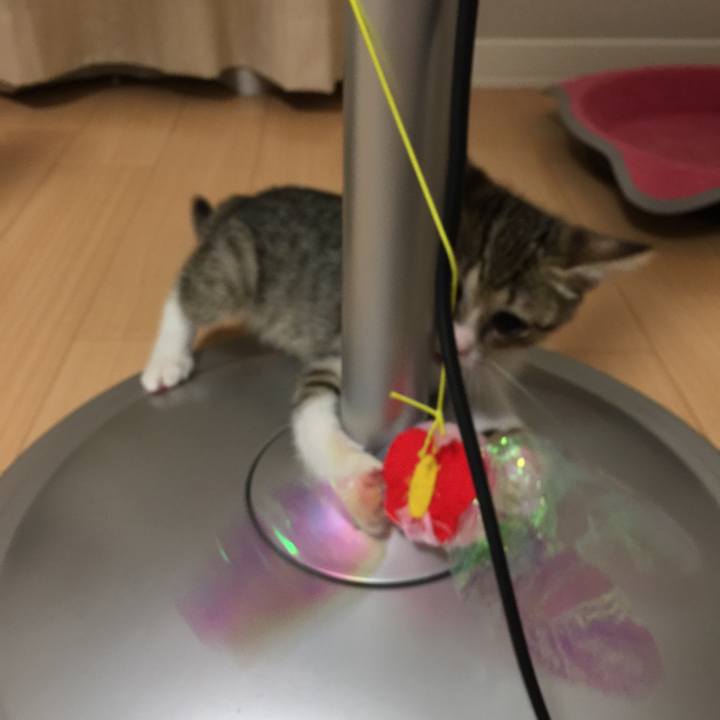 D6216c2b 9e1f 4e9a 9f6f 1164da7dd837 1534509143571