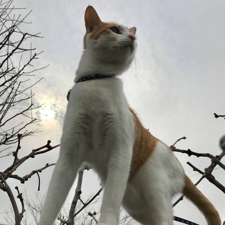 D621708e 5e5c 4ca1 8b30 c2a3613aee3c 1522711726567