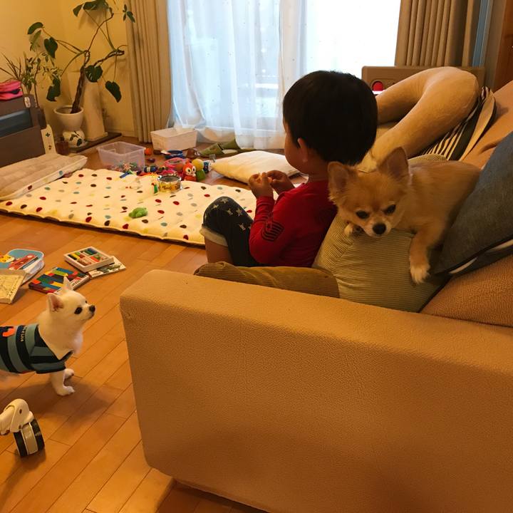 D6218abb c52a 4a7f a31d 2c08df1d44d2 1508656705487