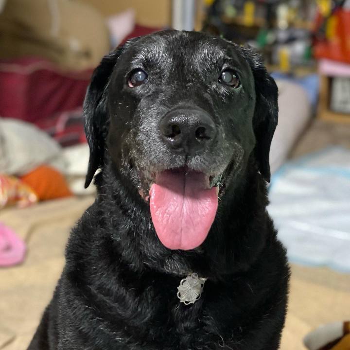 D621c740 a317 49d8 9bd5 252b839abc71 1639030141196