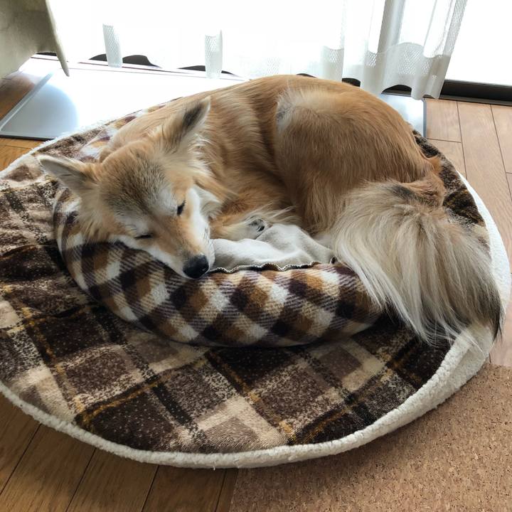 D621e8aa 2e20 4726 849a 58e75a9b02a8 1529029504912