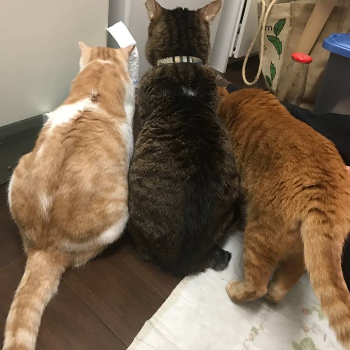 D6222f28 9fb2 47f5 8dac 97c89b9dd57a 1518532300196