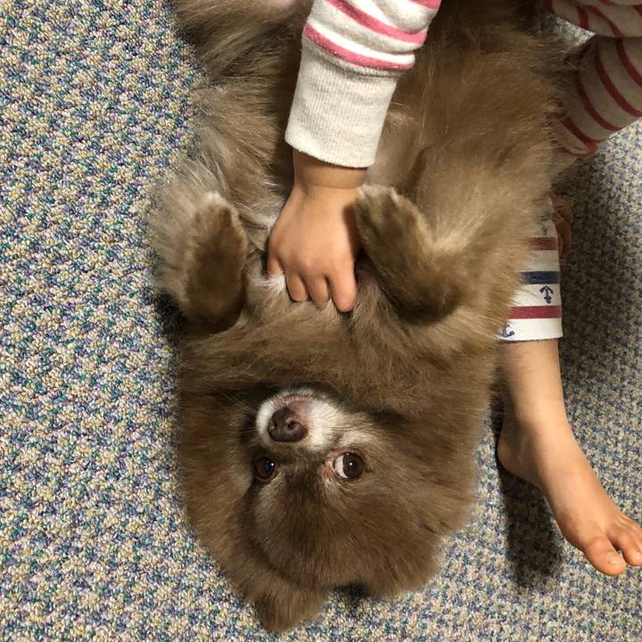 D6225f86 4d0b 4c9a 9bd3 f31fc3abc9fc 1551175608889