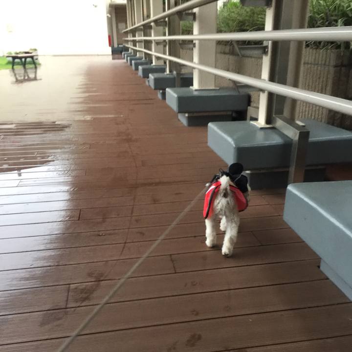 D6226496 d7fd 4452 b94f a325e74cb6e6 1537959480033