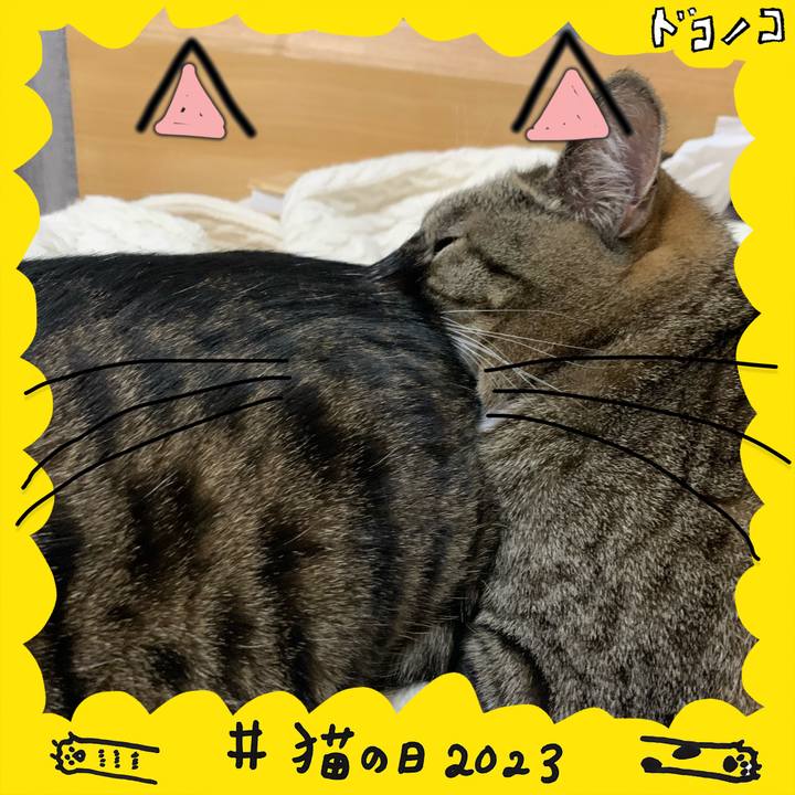 D6228e63 49fd 4c97 a2dc 6102aaf44897 1677071035181