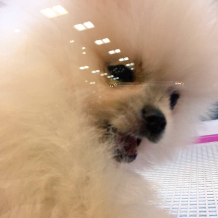 D622c0a2 aa92 46eb a5d9 474cb9bcb348 1508024044805