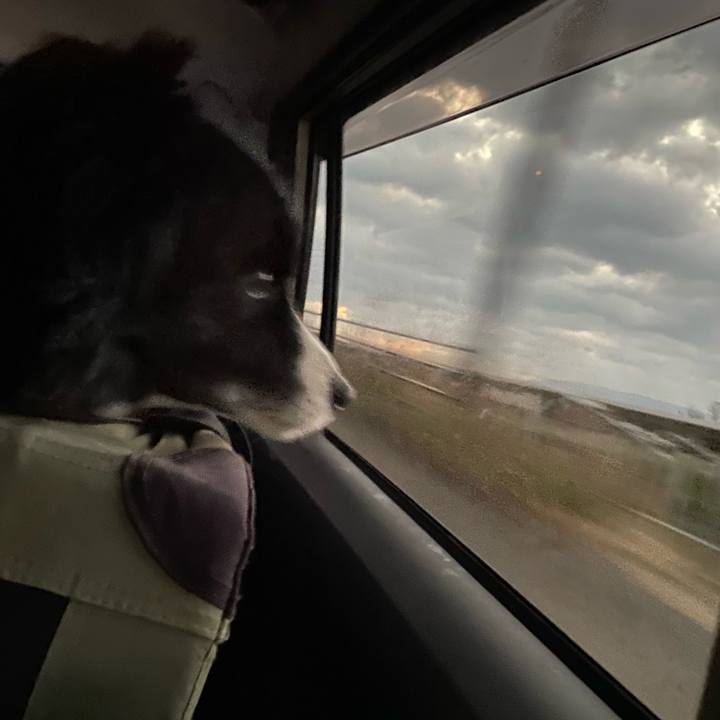 D622cdeb a8bc 46ae a2e5 1b98824dd934 1640815838789