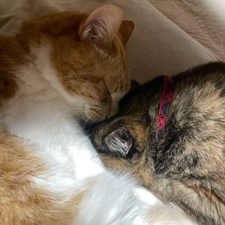 D622e464 694e 4bf0 802b 3c556718e9c1 1770809134476