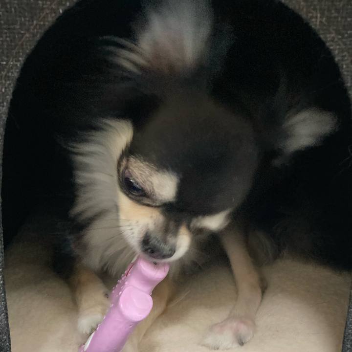 D622ee5a 8d4d 4d5b acaa adb8e7e3c74d 1651758770655