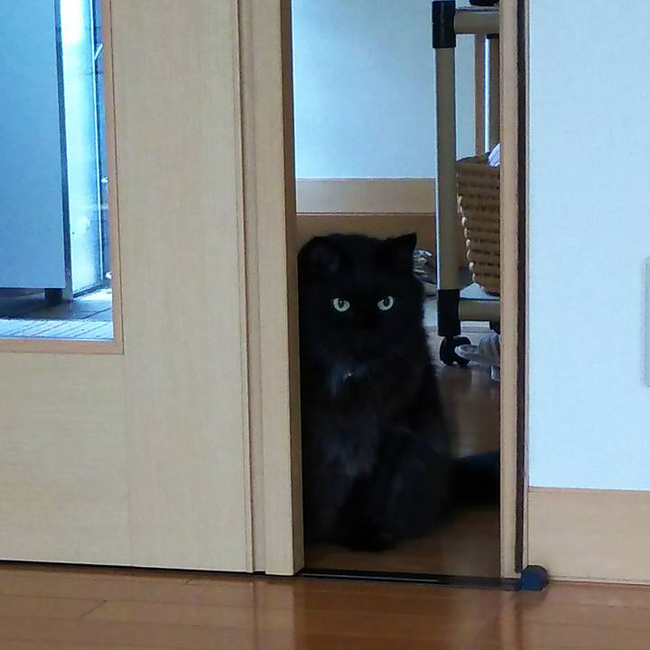 D6234619 646b 42e1 b429 8d2efb7a301f 1508194845442