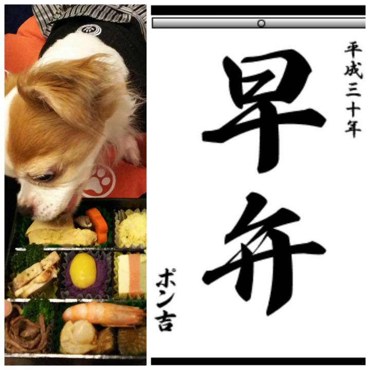 D6236fdb 65b8 4ff7 a4e1 1a6694bf0c45 1515292174443