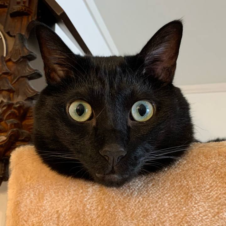 D62386ed 43af 4c01 9f12 de6b28881637 1664064239005