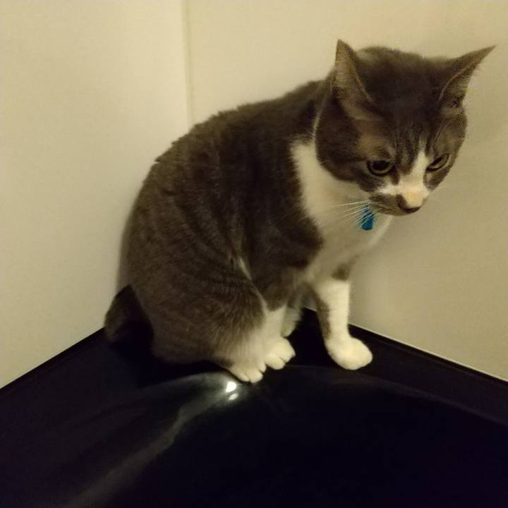 D6238f5c 63b2 4fdb b3d4 87ea47029174 1611404266575