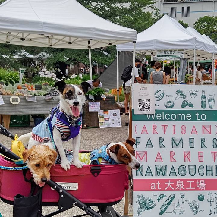 D623a896 4fe8 48e4 88a5 9b307d73eaa3 1625973793040