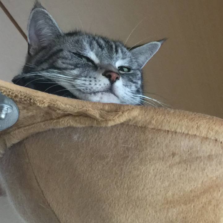 D623d6ca 2c08 4dff be81 0a16ecd5760b 1512663279060