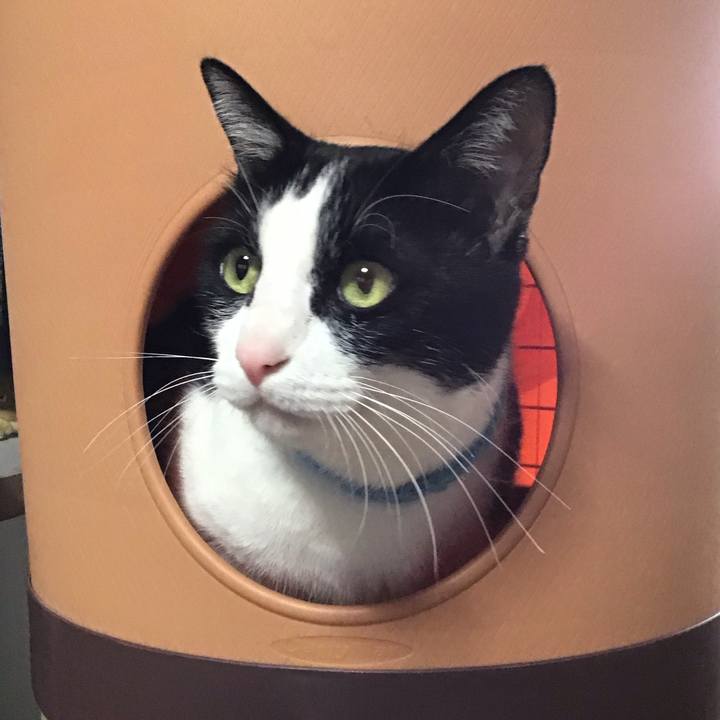 D623eb0e d3b5 46d5 a2ad 5cf294327244 1747297532701