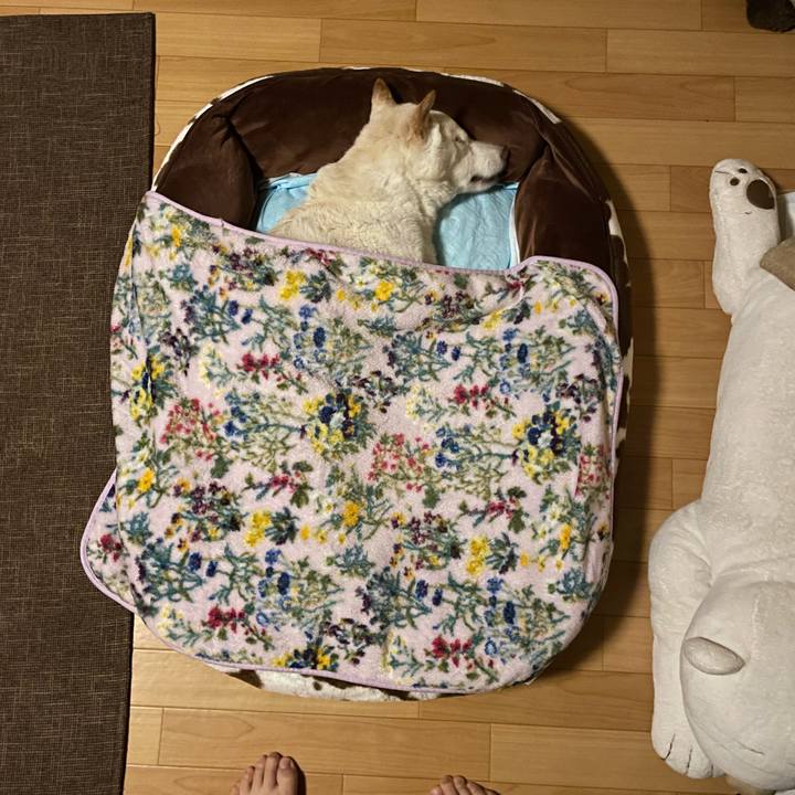 D623f731 0b2e 4061 8f70 31c88fe4ce45 1668086432439