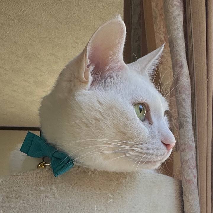 D62425ec 02d0 4014 b70d f7756f3ca59f 1769237021080