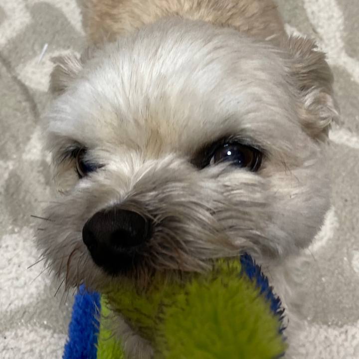 D62440e0 b705 41bb 8814 9d75f196257d 1585741102432